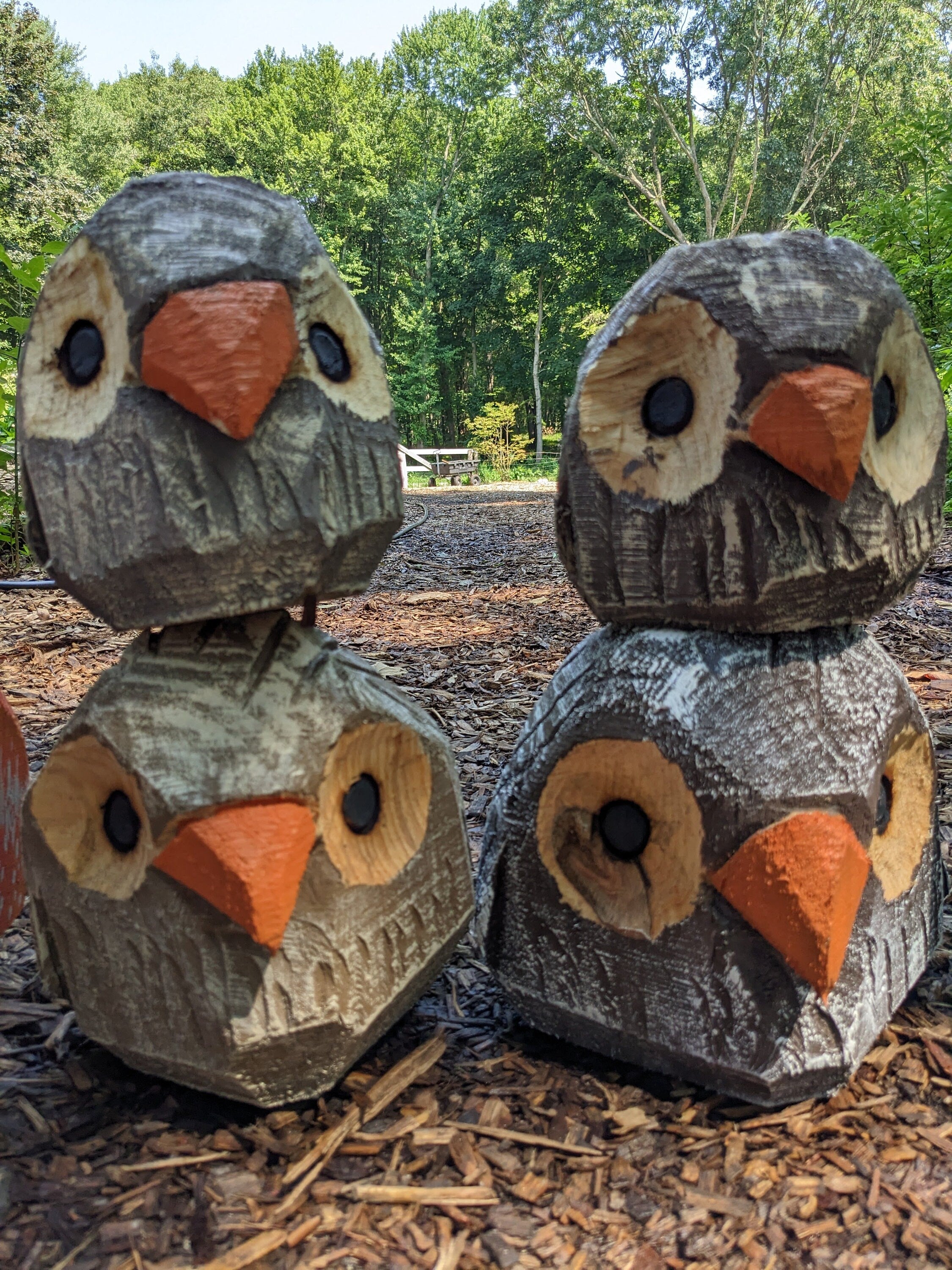 Chainsaw Carved Owl