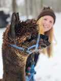 100% Alpaca Hat CARL - Alpaca Winter Hat in Brown