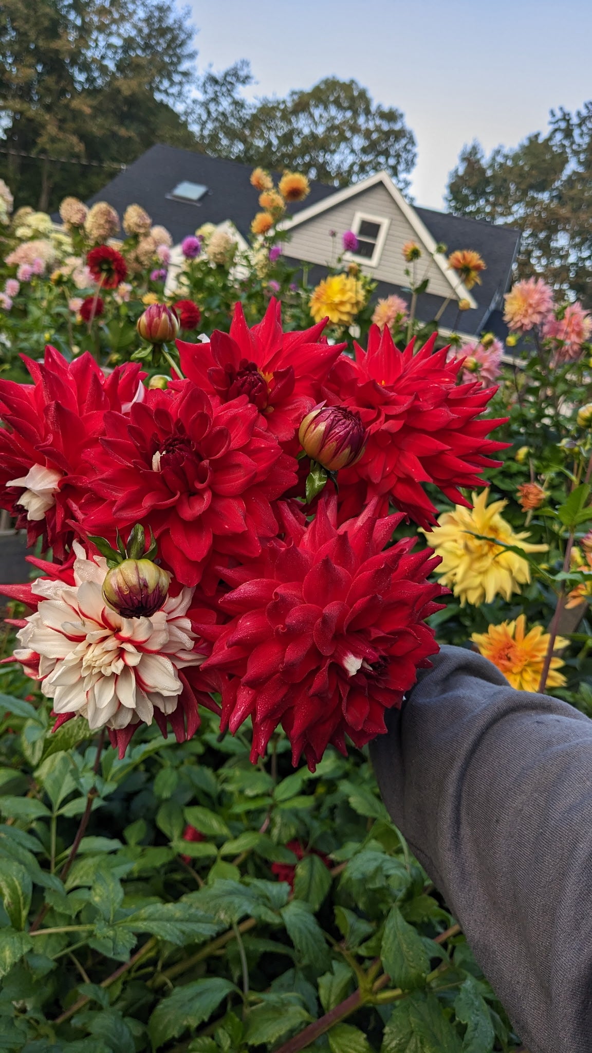 Custom Bouquets